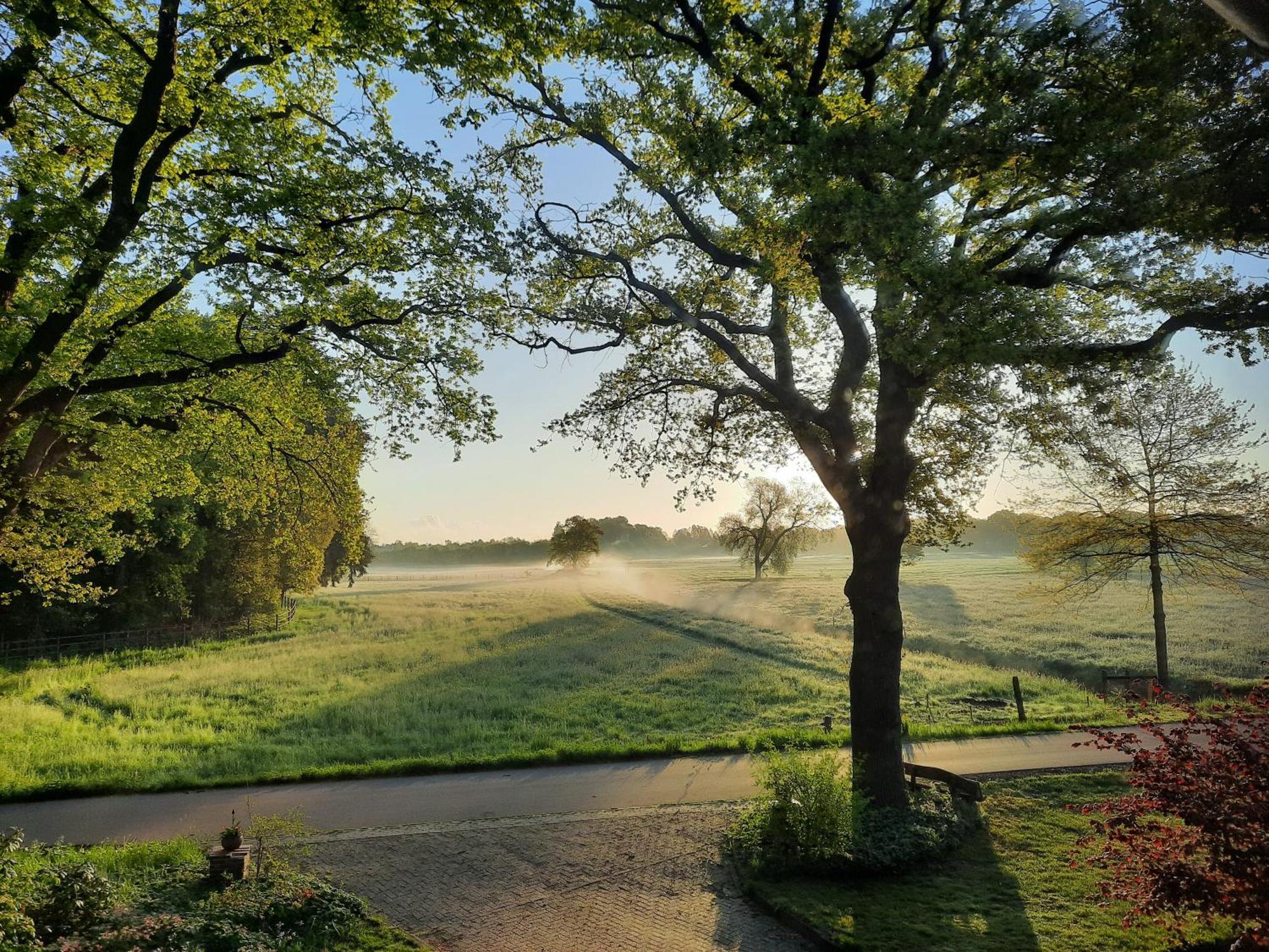 Ferienwohnung Am Thalenbusch Westerstede Esterno foto